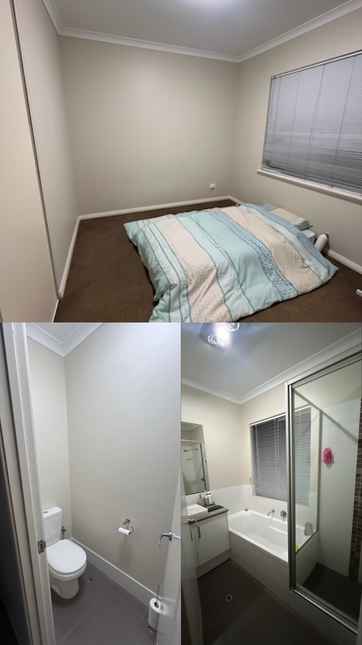 画像:クリックすると閉じます