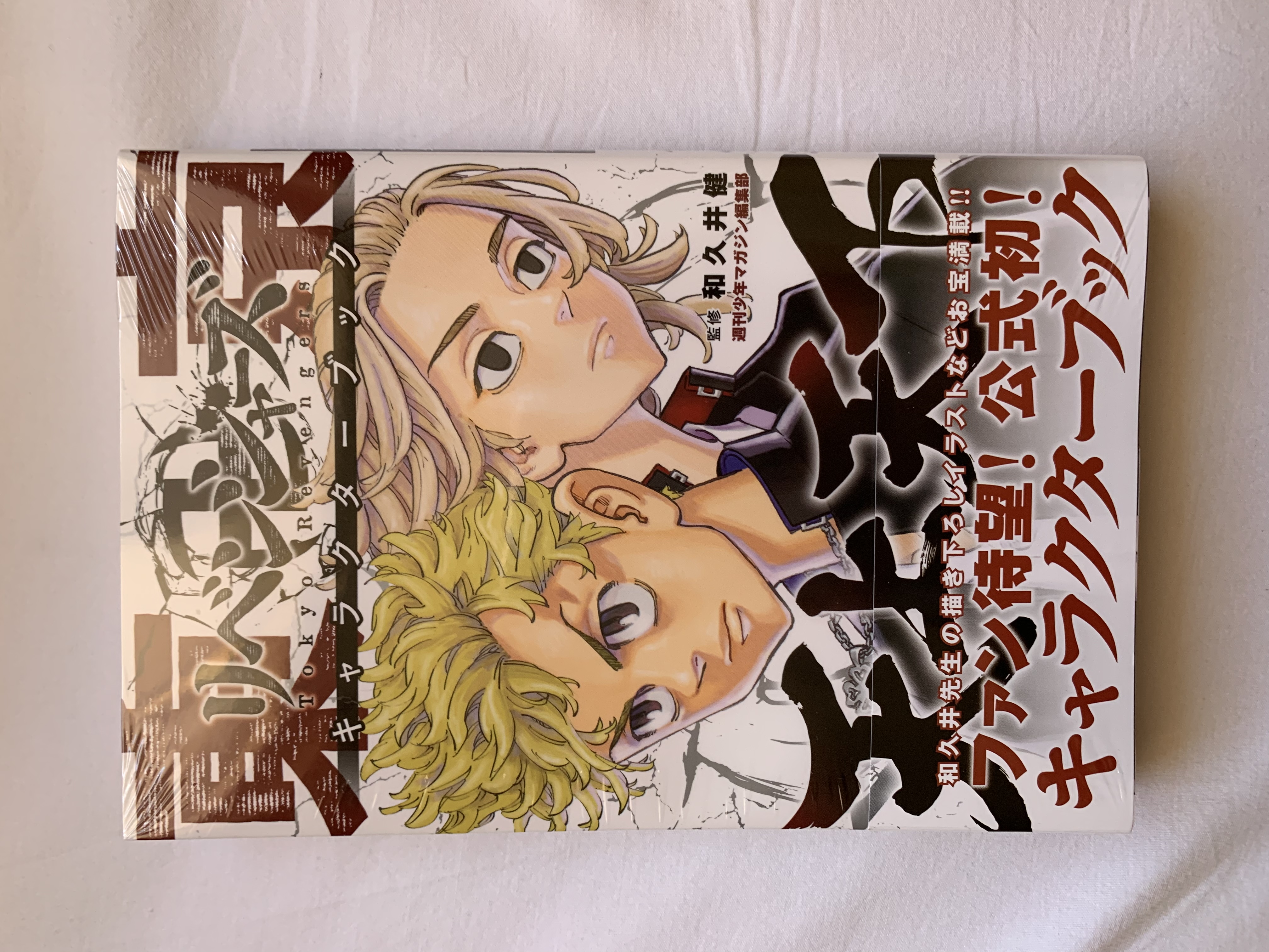 画像:クリックすると閉じます