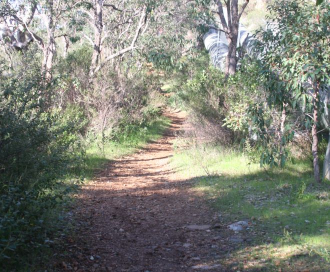 trail1