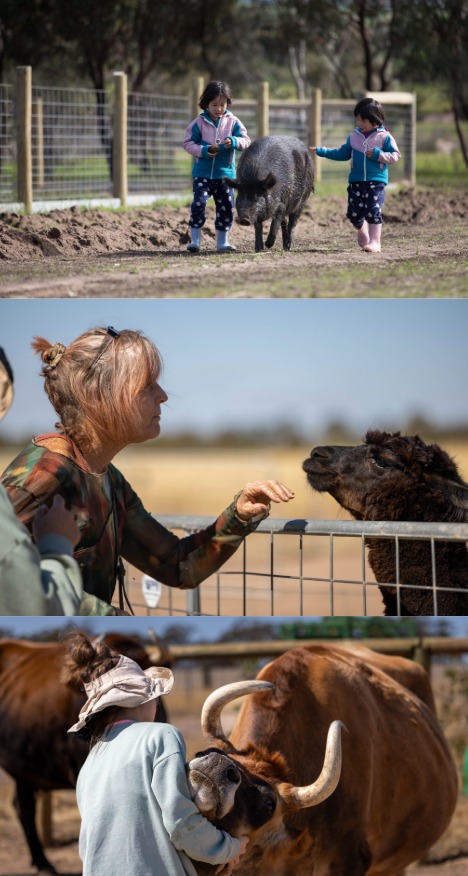 画像:クリックすると閉じます