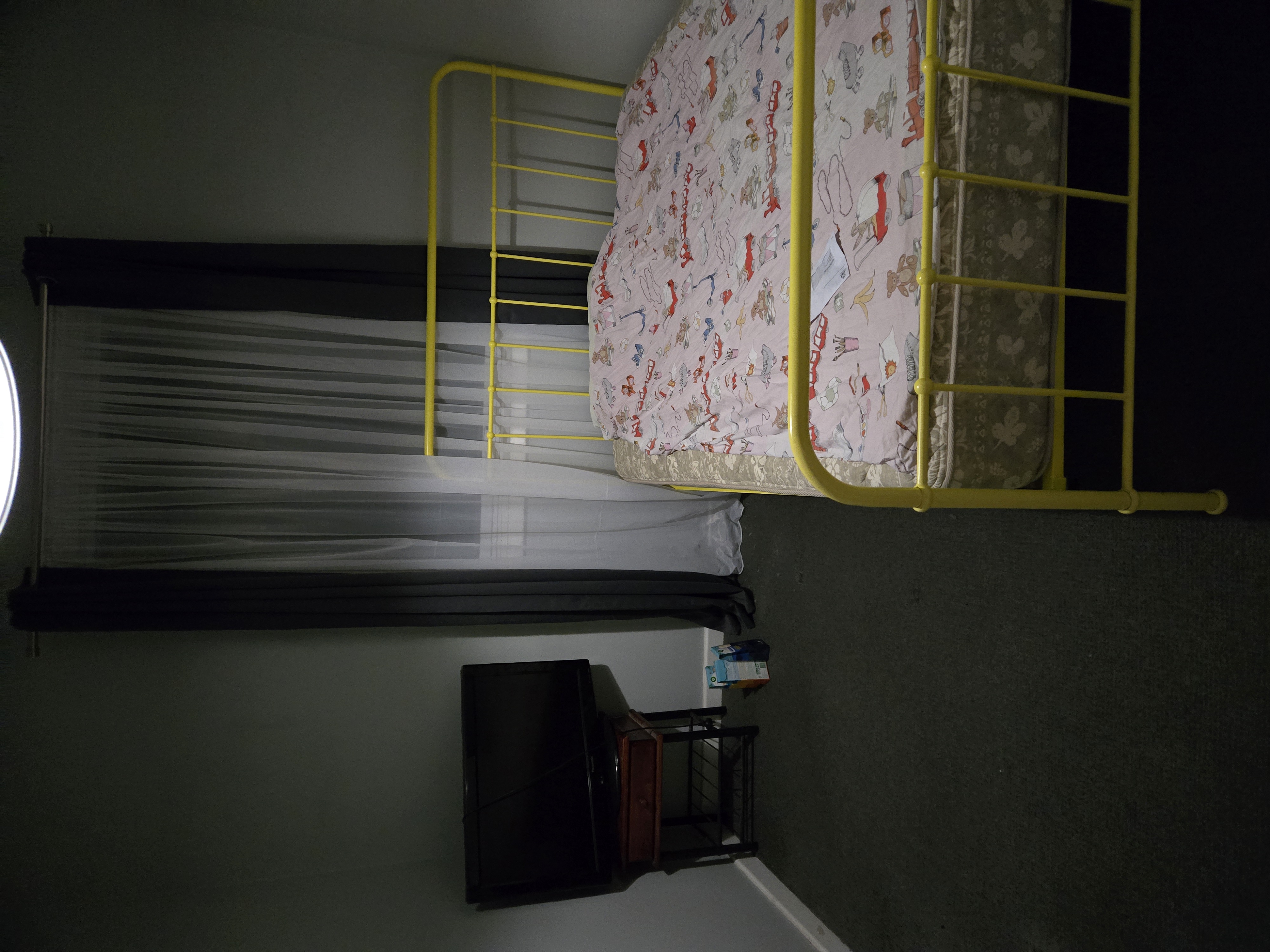 画像:クリックすると閉じます