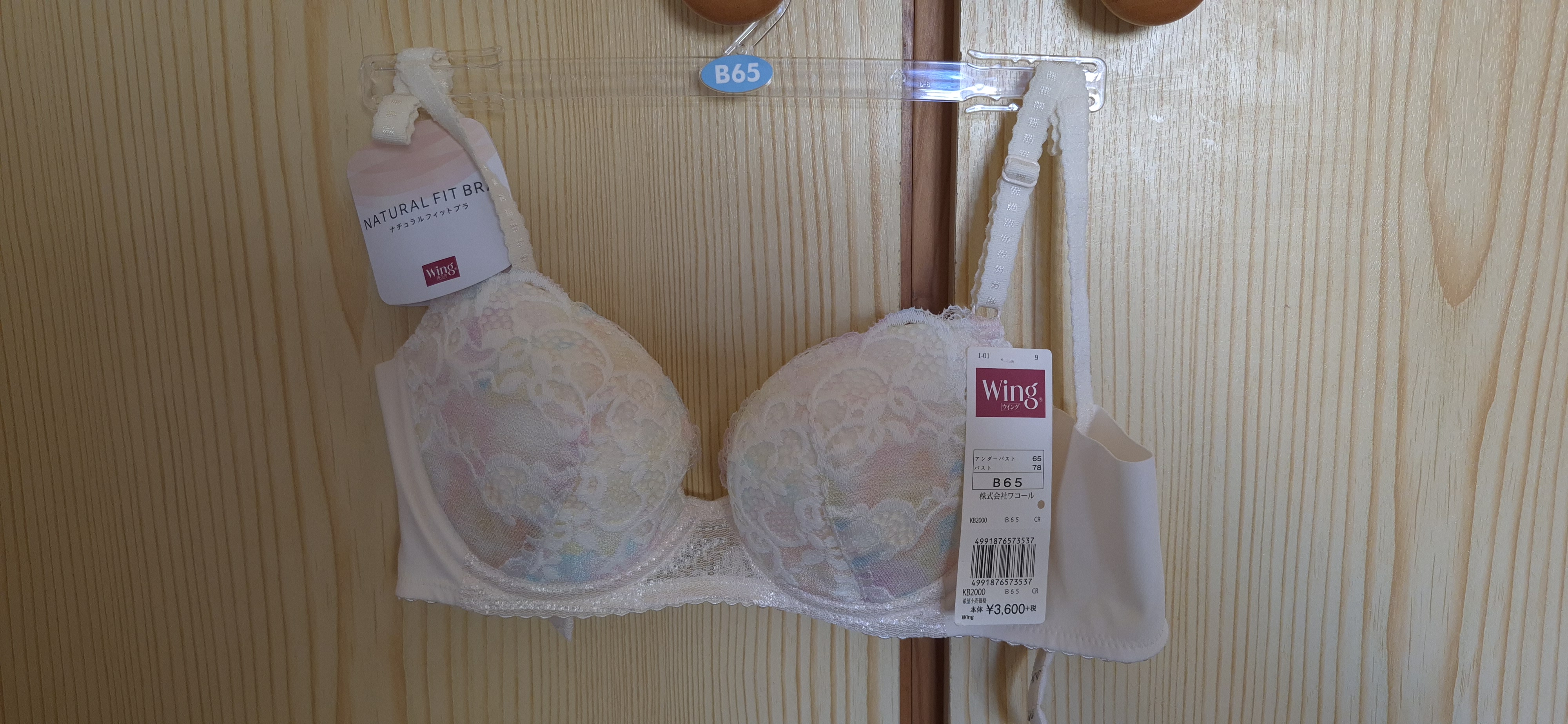 画像:クリックすると閉じます