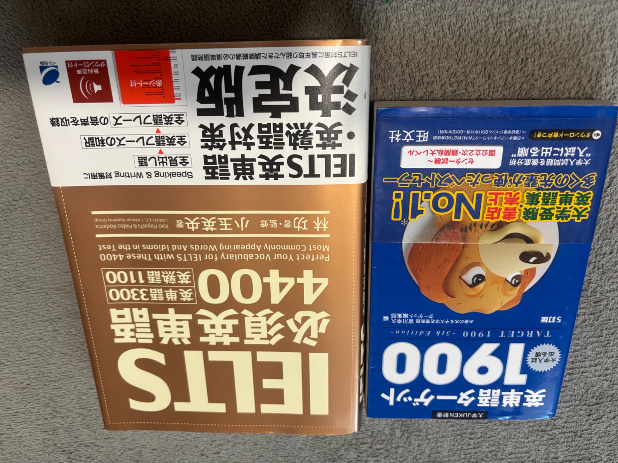 画像:クリックすると閉じます