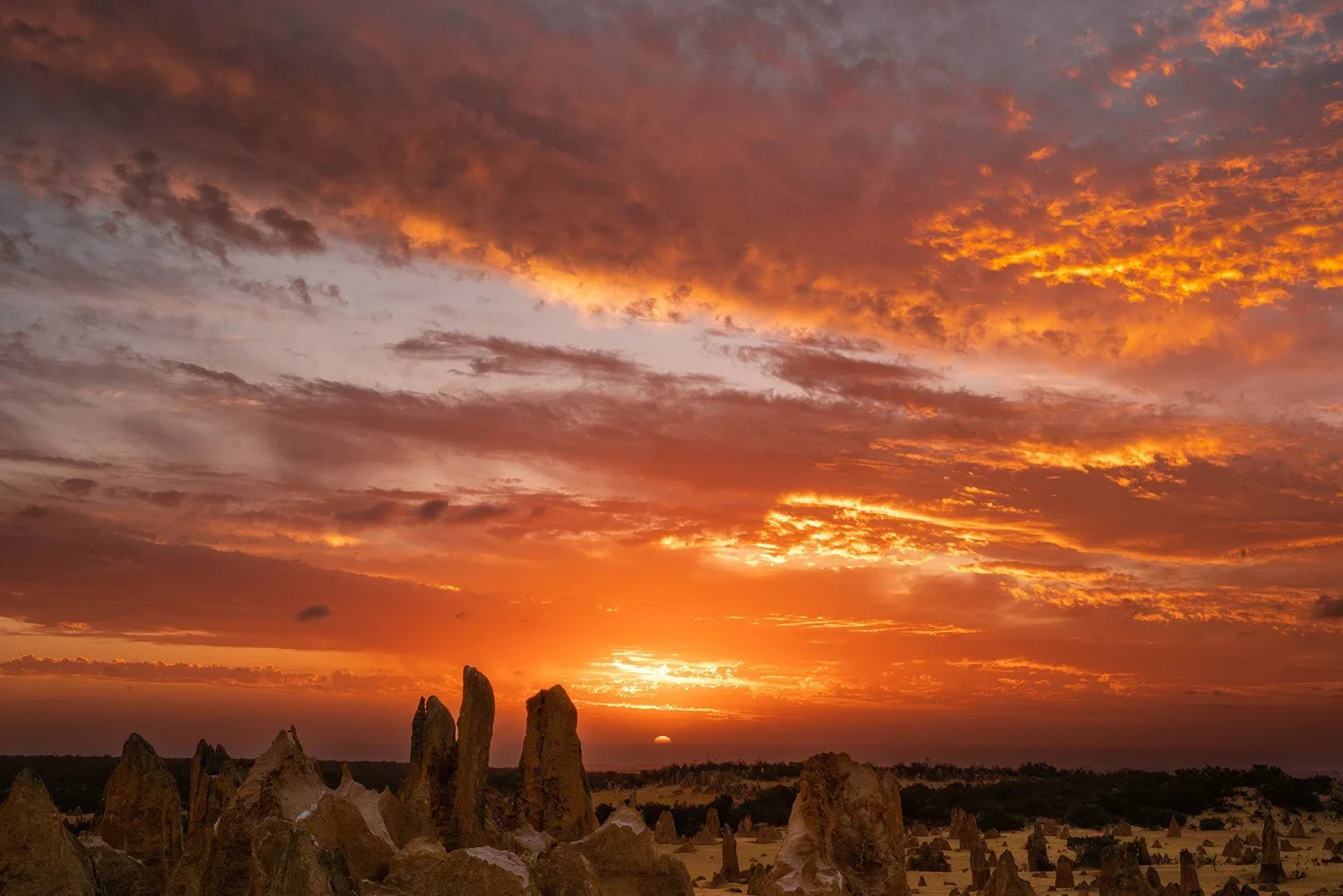 The limestone formations of the Pinnacles Desert in Western Australia